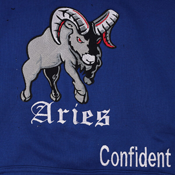 Aries Adult Hoodie