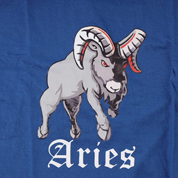 Aries Adult T Shirt