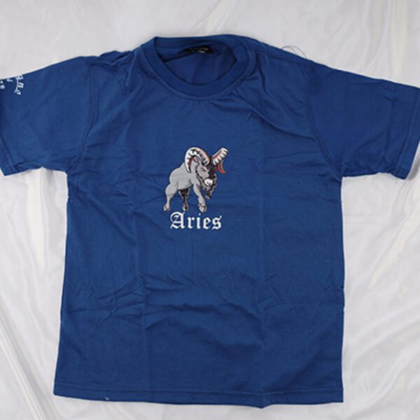 Aries Kids Tee