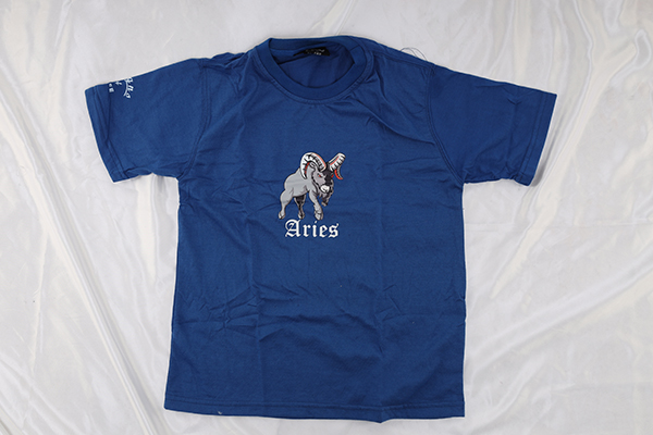 Aries Kids Tee