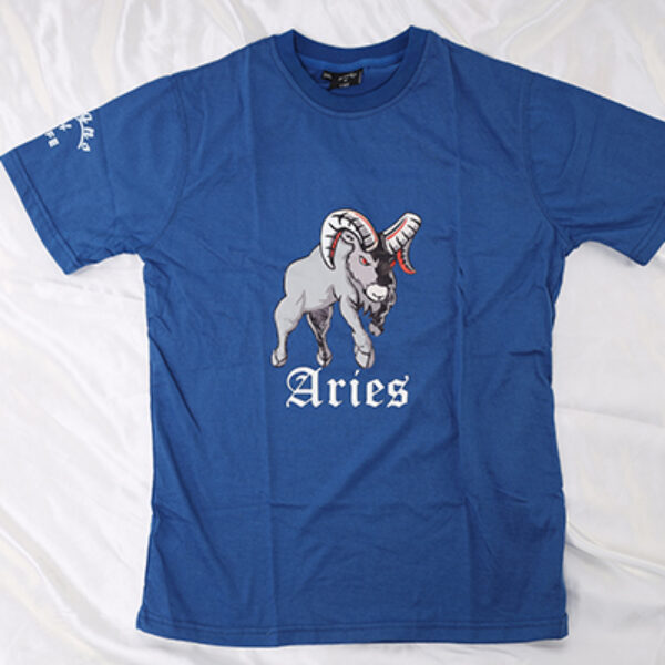Aries Adult T Shirt
