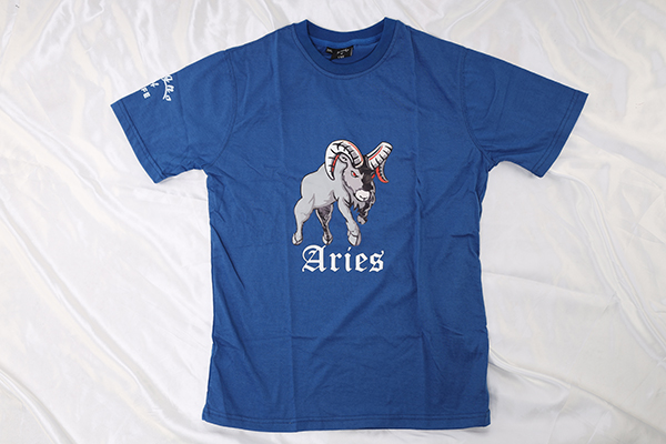 Aries Adult T Shirt