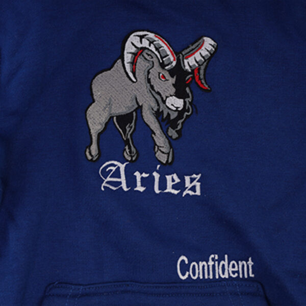 Aries Kids Hoodie