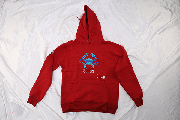 Cancer Adult Hoodie