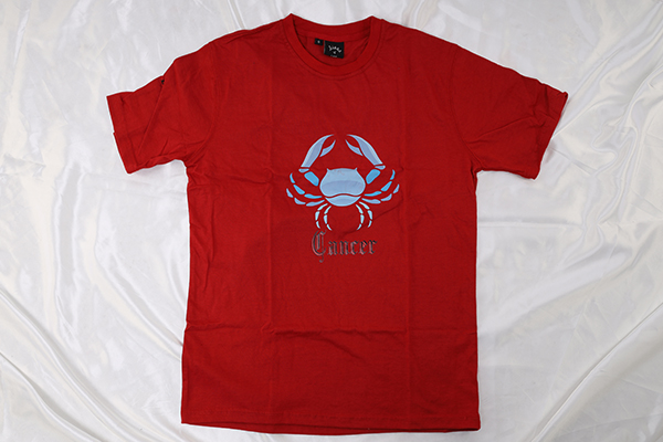 Cancer T-shirt (mens) #TeamCancer