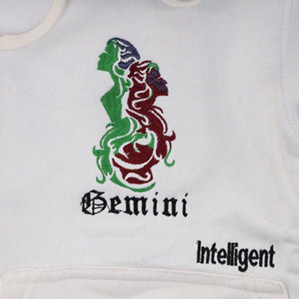 Gemini Kids Hoodie