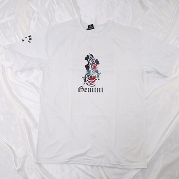 Gemini Adult T Shirt
