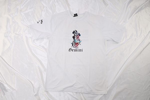 Gemini Adult T Shirt